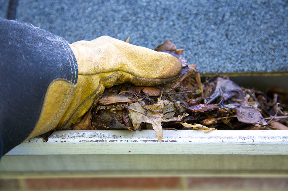 Gutter Cleaning